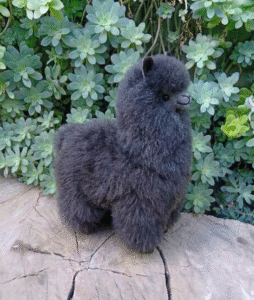 peluches de alpaca