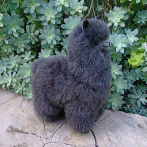 peluches de alpaca